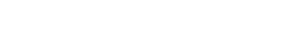 ANALYZER